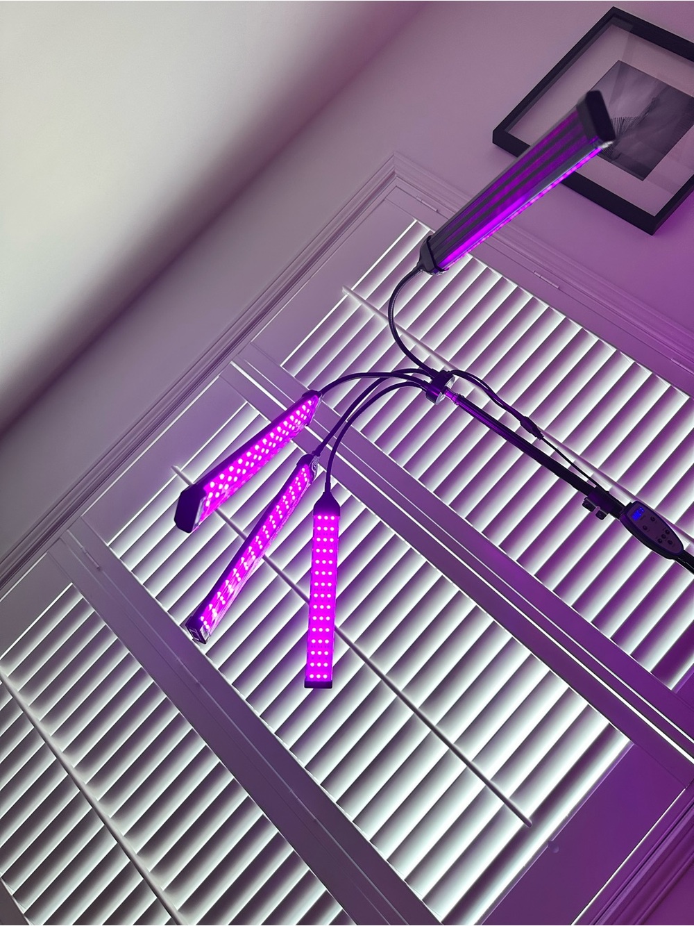 Light therapy - Picture 3 of 6